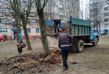 Вивіз листя, гілок та дерев